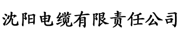 91桃色污污污的免费下载电缆厂logo